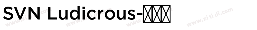 SVN Ludicrous字体转换